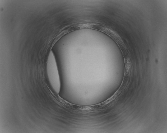 X0000078290409200611030957