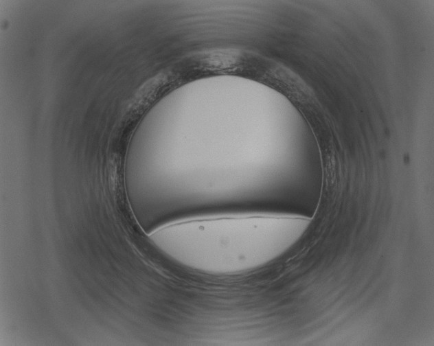 X0000078290412200611030957