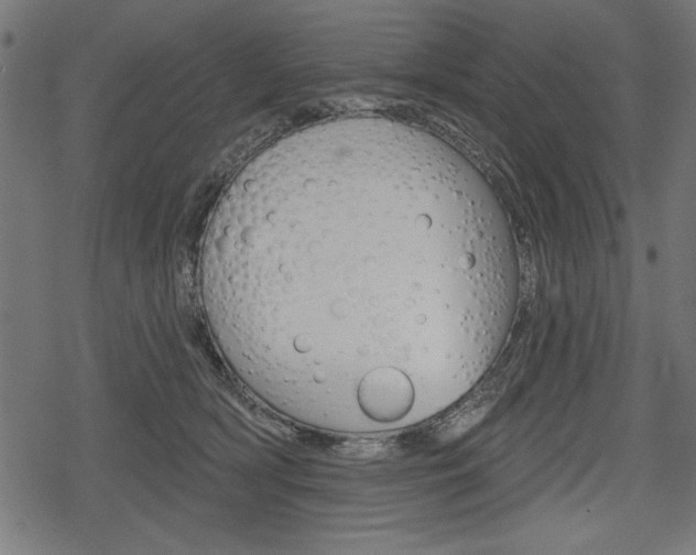 X0000078290418200611030957