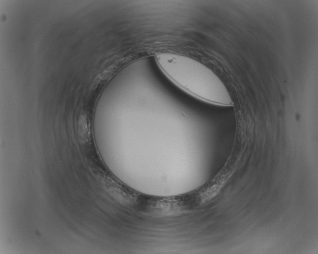 X0000078290420200611030957