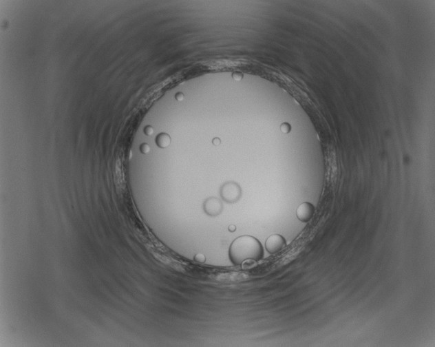 X0000078290426200611030957