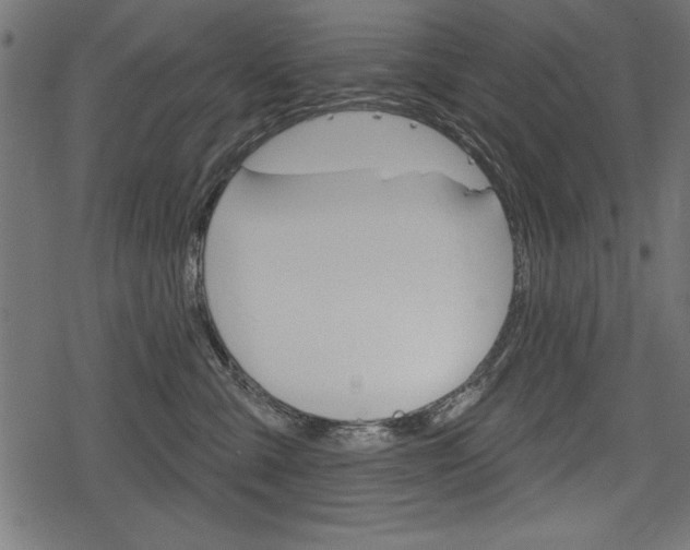 X0000078290427200611030957