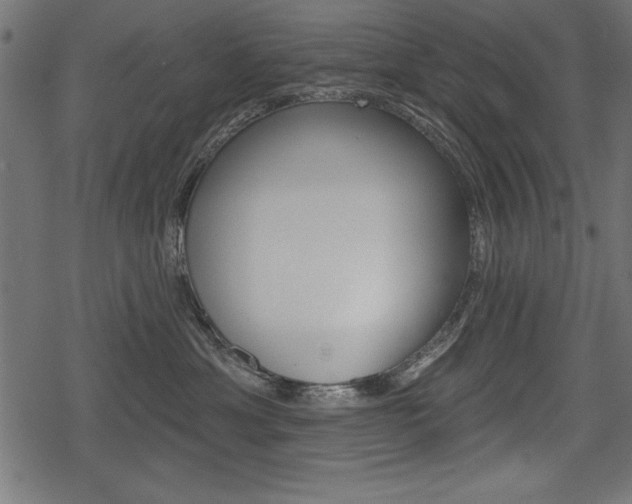 X0000078290429200611030957