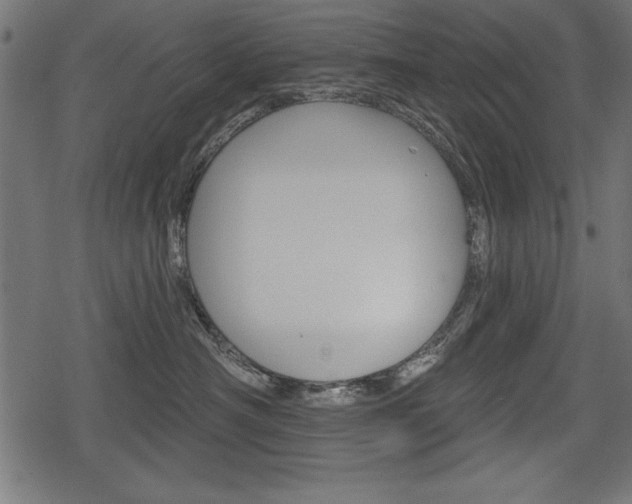 X0000078290430200611030957