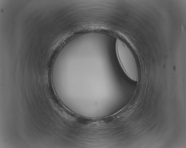 X0000078290447200611030956