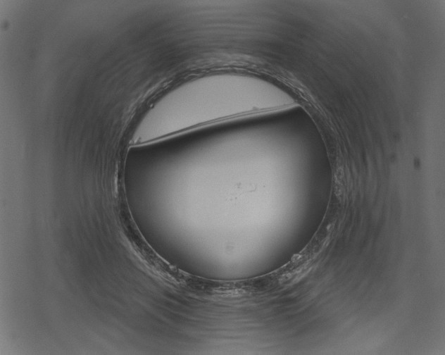 X0000078290454200611030956