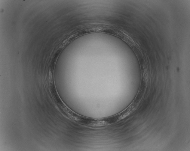 X0000078290459200611030956