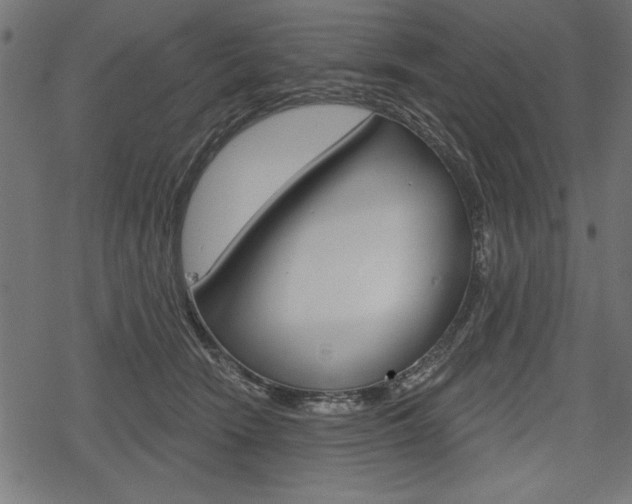 X0000078290466200611030956