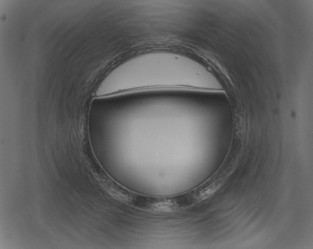 X0000078290505200611030955
