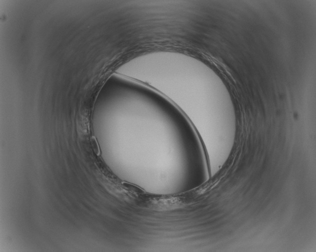 X0000078290517200611030955
