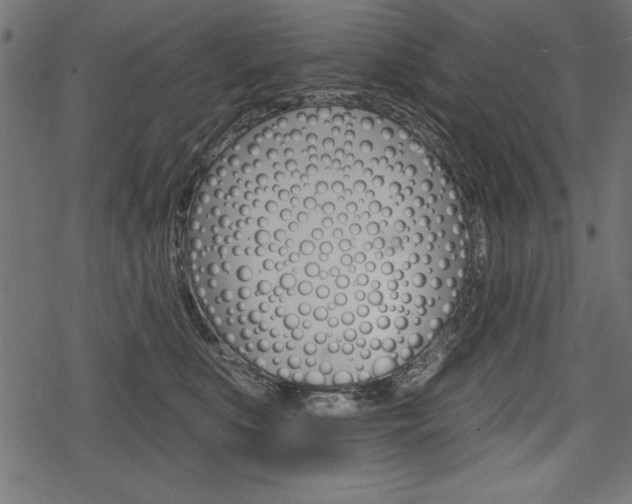 X0000078290519200611030955