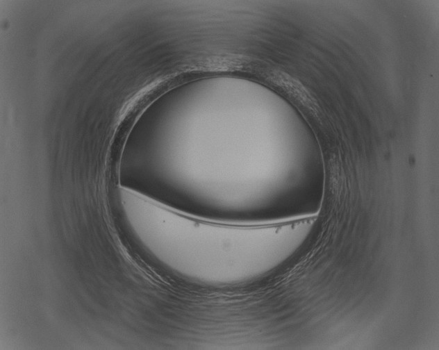 X0000078290536200611030954