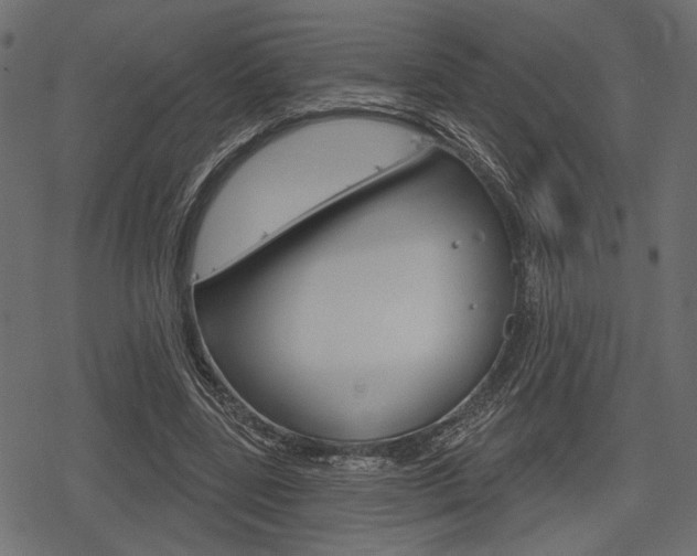 X0000078290539200611030954