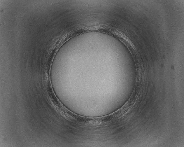 X0000078290541200611030954