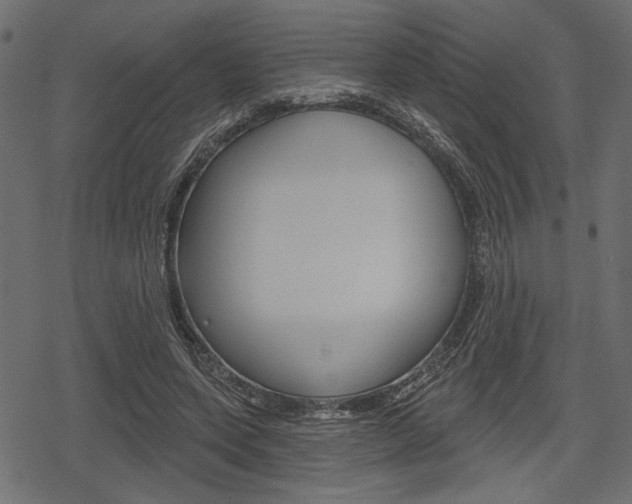 X0000078290543200611030954
