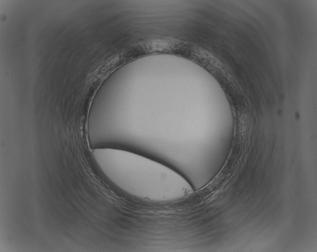 X0000078290545200611030954