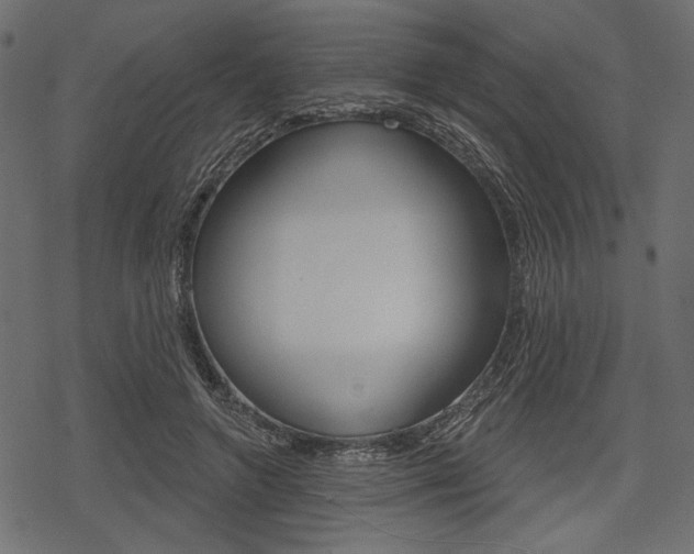 X0000078290546200611030954