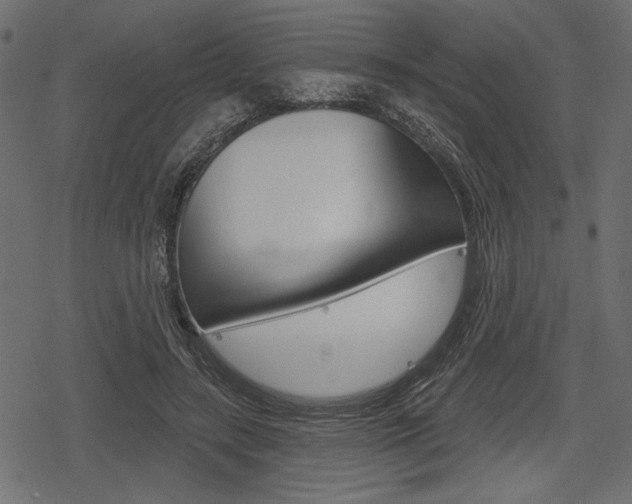 X0000078290547200611030954