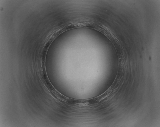 X0000078290548200611030954