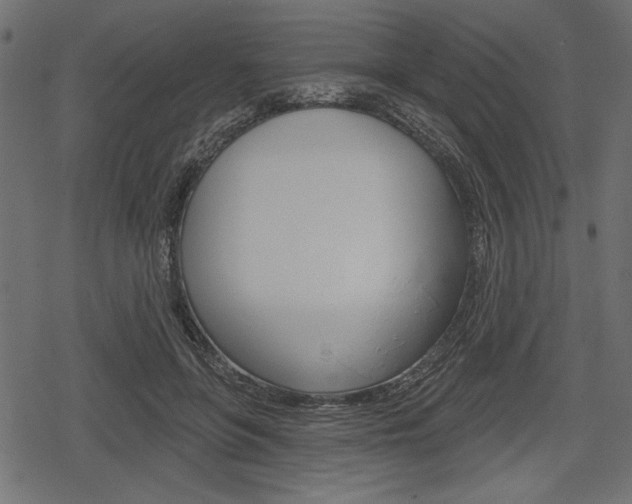 X0000078290551200611030955