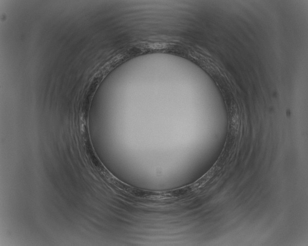 X0000078290555200611030955