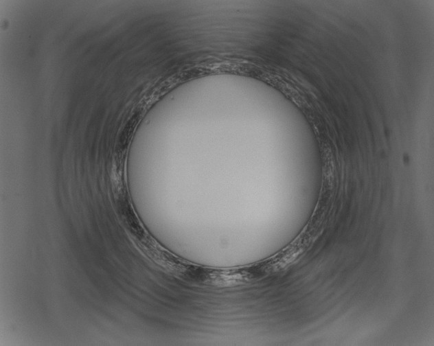 X0000078290607200611030954