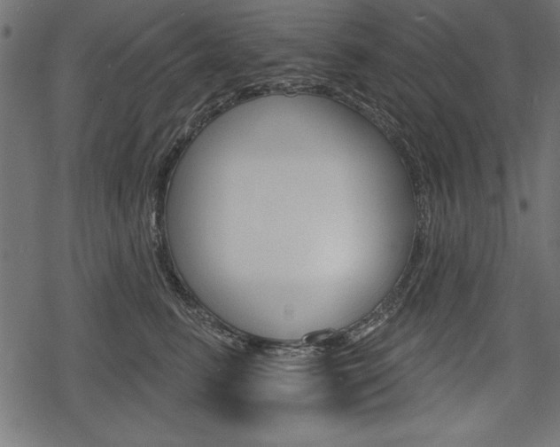 X0000078290615200611030954