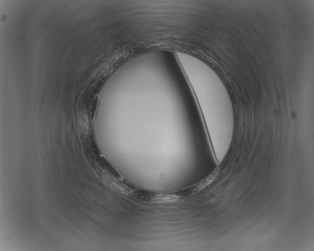 X0000078290617200611030954
