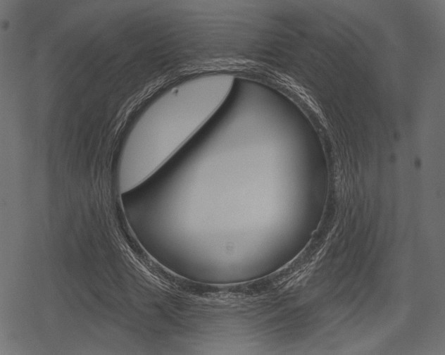 X0000078290633200611030953