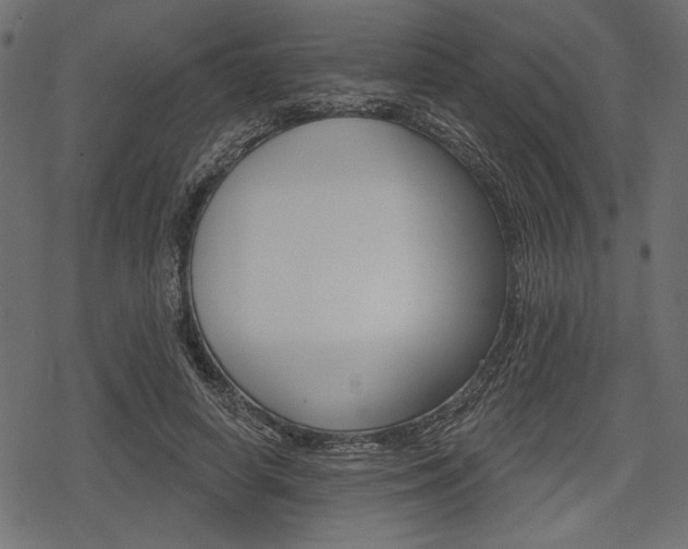 X0000078290642200611030953