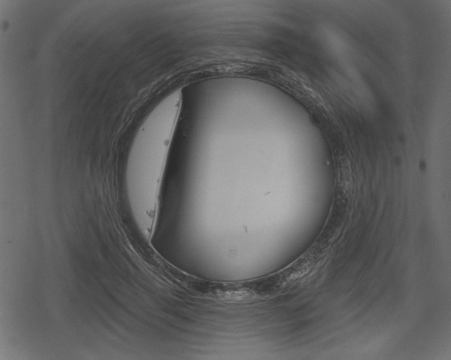 X0000078290645200611030953