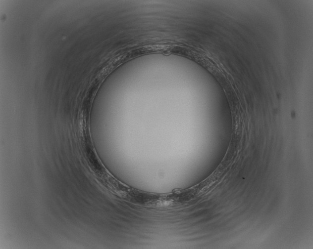 X0000078290647200611030953