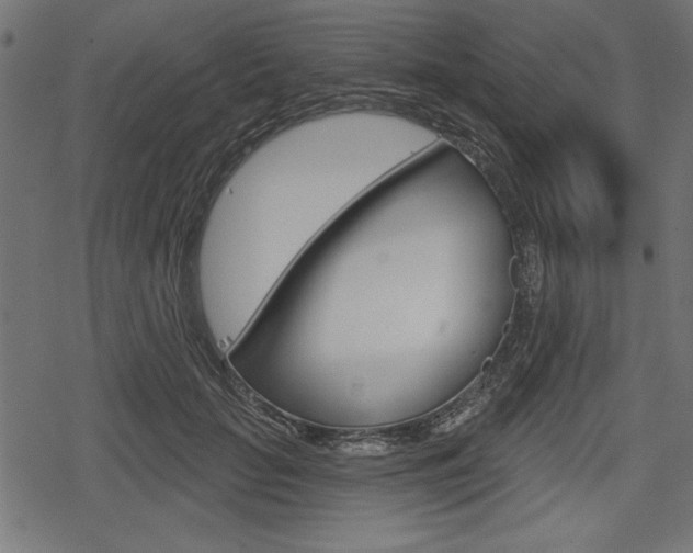 X0000078290653200611030953