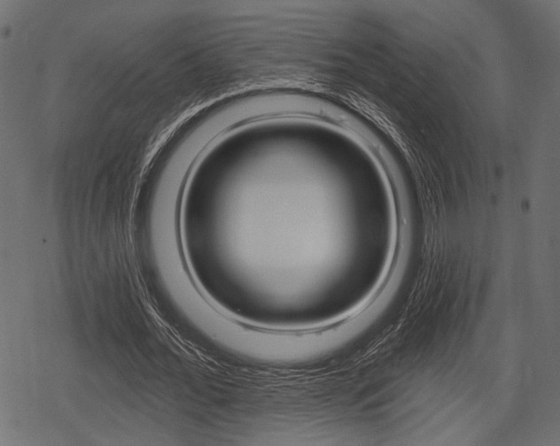 X0000078290676200611030953