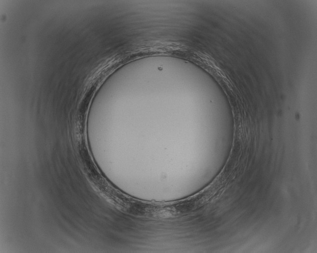 X0000078290683200611030952