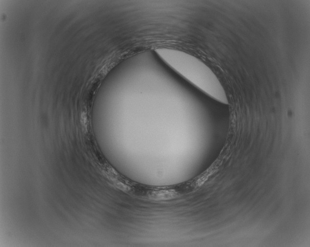 X0000078290716200611030952