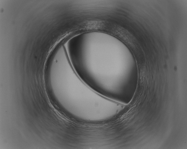 X0000078290722200611030951
