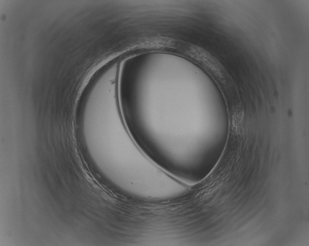 X0000078290724200611030951