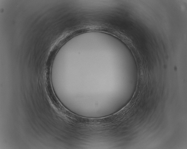 X0000078290730200611030951