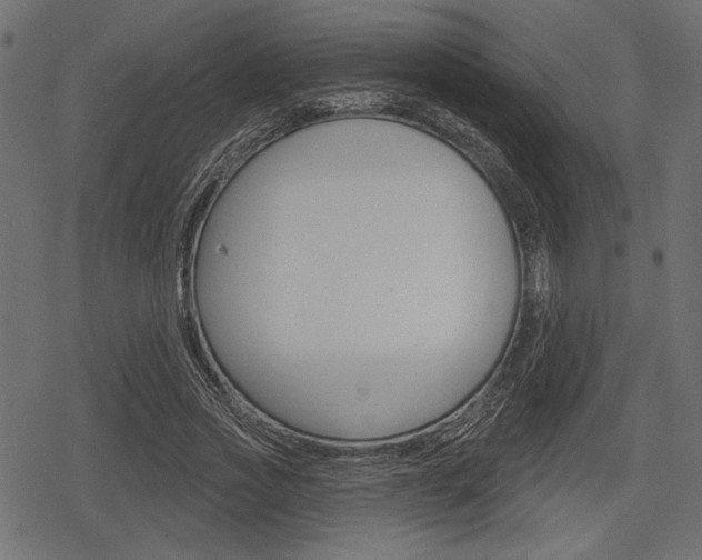 X0000078290733200611030951