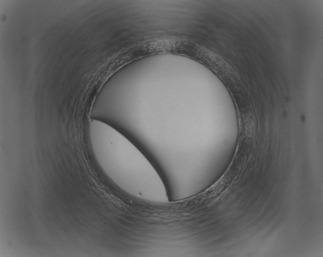 X0000078290737200611030951