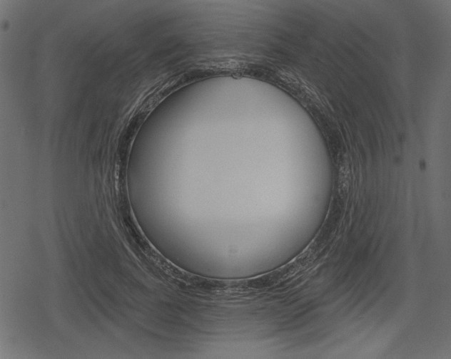 X0000078290739200611030951