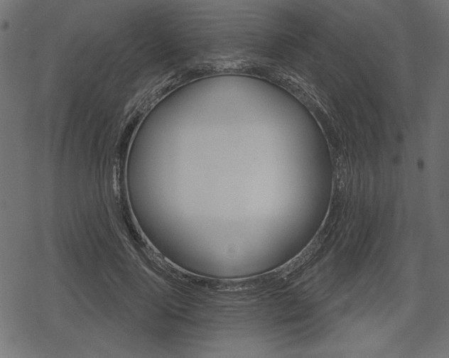 X0000078290740200611030951