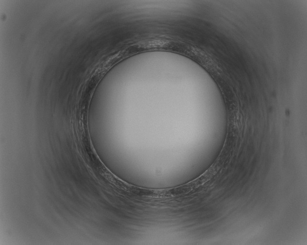 X0000078290743200611030951