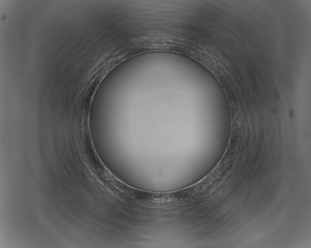 X0000078290744200611030951