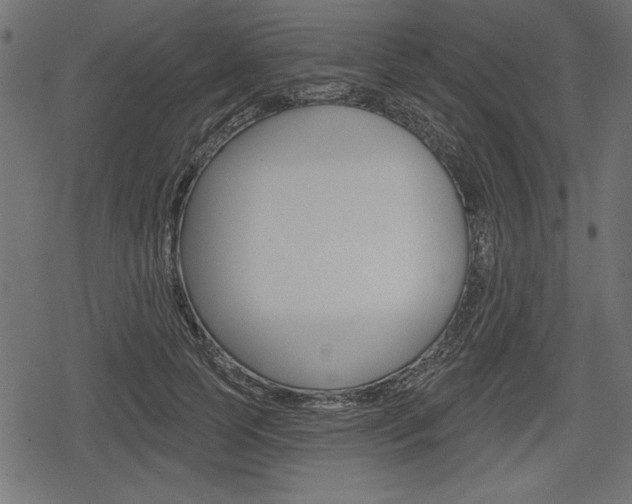 X0000078290745200611030951