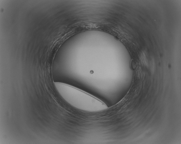 X0000078290747200611030951