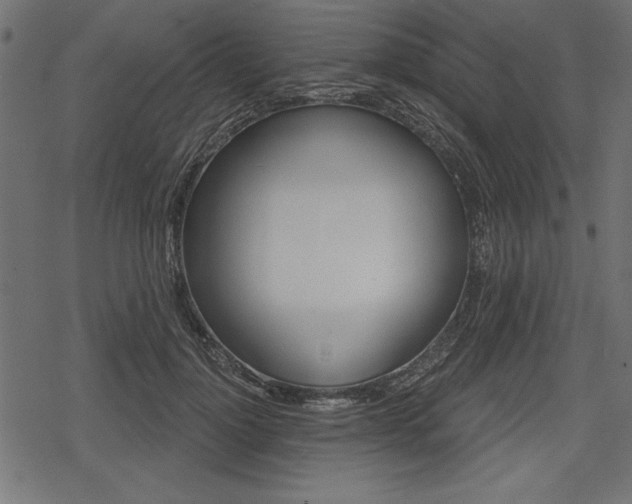 X0000078290748200611030951