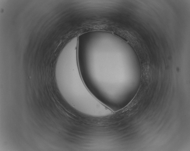 X0000078290752200611030952