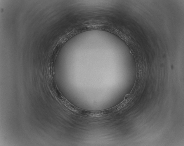 X0000078290755200611030952